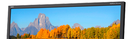 Nec Display Solutions reinforces the Multisync EA series with a new model of 24 Inch