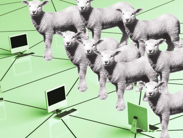 virtual shepherd e-grass