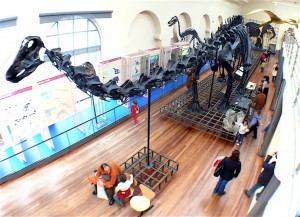 Museo Ciencias Naturales