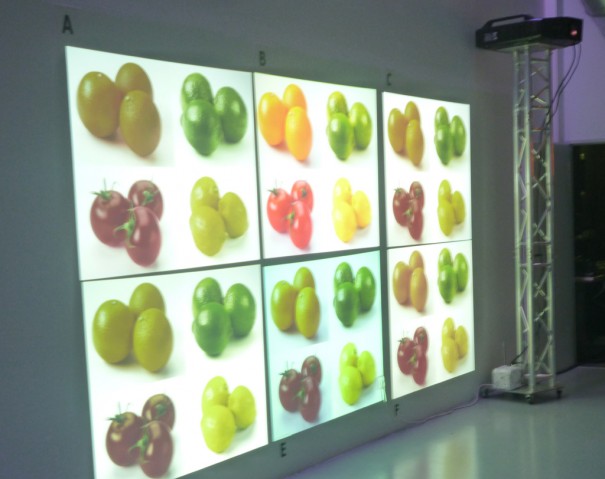 Epson evento porque el color importa 2