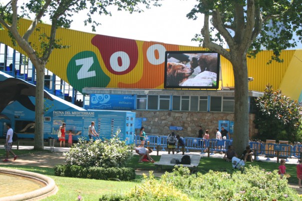 Pantalla Led Dream Zoo Barcelona 