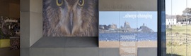 来自丹麦dnp的超新星刀片屏幕补充了布伦特鹅的自然观察