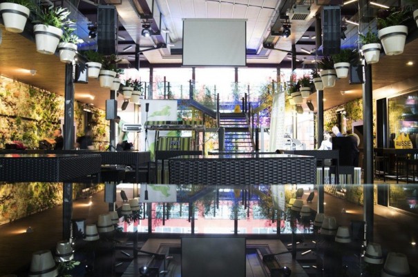 db audiotechnik Green Gold Club