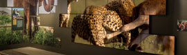 Planar installa un videowall di formato irregolare nel National Geographic Museum di Washington
