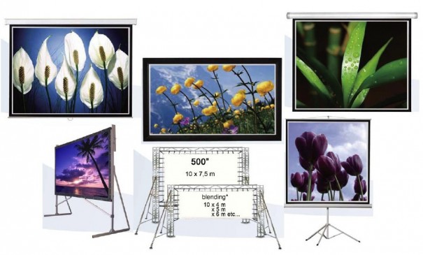 Dimasa pantallas Neoko Know Capital