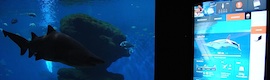 Palma Aquarium oferece interatividade com AOPEN suas instalações