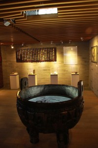 dnp Instituto Confucio