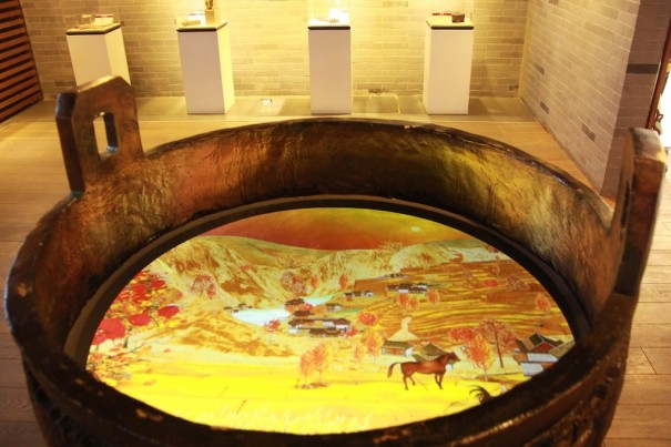 dnp Instituto Confucio