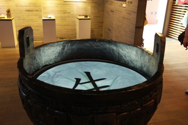 dnp Instituto Confucio