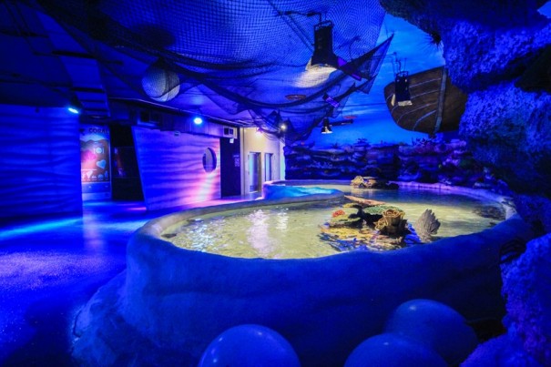 Elation Inbursa Aquarium