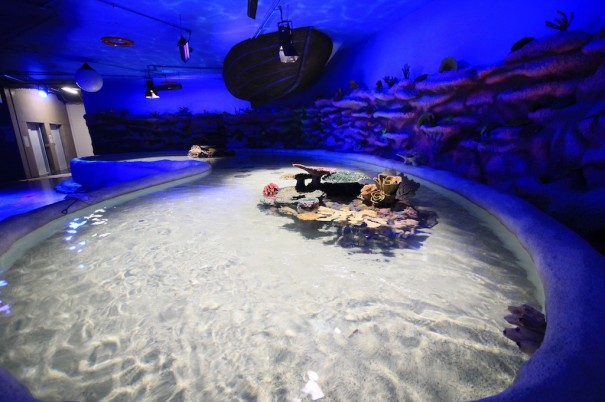 Elation Inbursa Aquarium