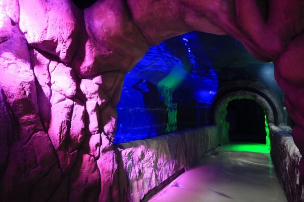 Elation Inbursa Aquarium