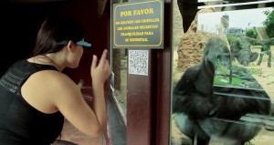 Zoo Madrid installiert App für Google Glass