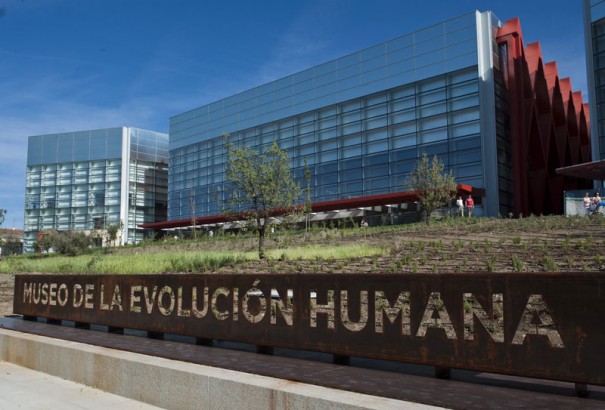Museo de la Evolucion Humana (MEH) Burgos