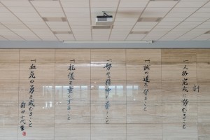 Proyectores Sony en Dojo