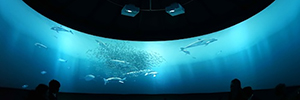 Оклендский музей погружает посетителей в виртуальный океан с помощью проекторов Sony