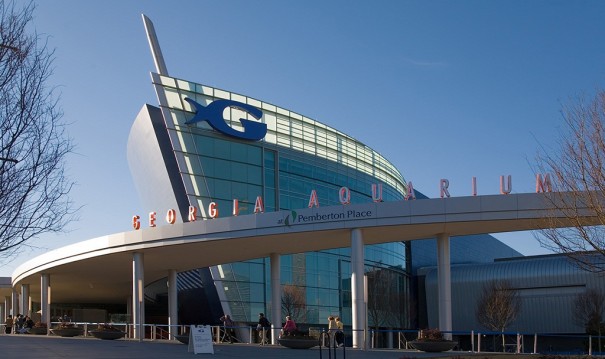 Georgia Aquarium