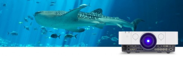 Proyector Sony en Georgia Aquarium