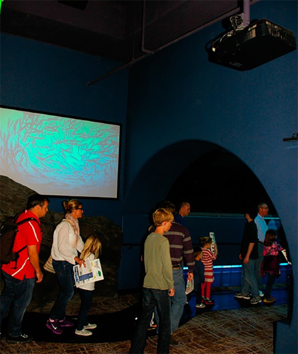 Proyector Sony en Georgia Aquarium