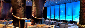 Uma grande parede de vídeo interativa, que simula um aquário virtual, preside o restaurante japonês Yubari