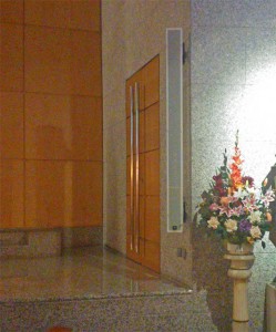 JBL Intellivox Compania Jesus Earpro