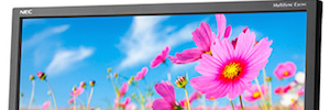 NEC Display presents the Led monitor E203Wi-BK with AH-IPS panel of its E-Series range
