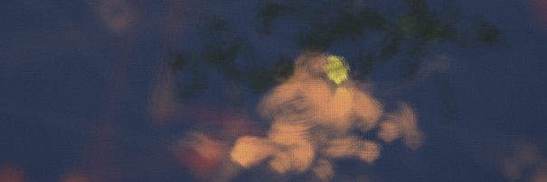 La Volta Cancons Visuals