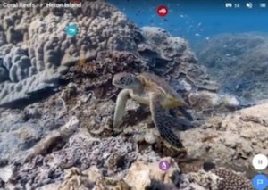 Google Expeditions