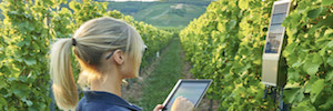 Ericsson grows IoT in vineyards with the TracoVino connected system