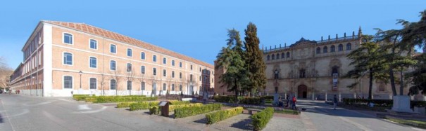 Vitelsa Universidad Alcala Henares