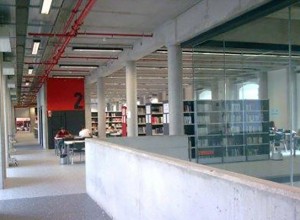 Vitelsa Universidad Alcala Henares