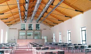 Vitelsa Universidad Alcala Henares