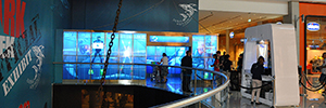 The Dubai Aquarium & Underwater Zoo uses AV techniques to publicize the world of white sharks