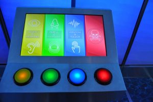 BrightSign y DigiComm Dubai Aquarium Underwater Zoo