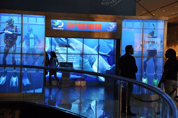 BrightSign y DigiComm Dubai Aquarium Underwater Zoo
