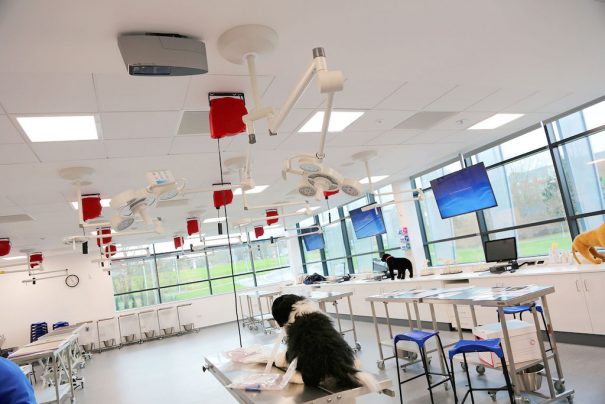 universidad-surrey-veterinaria-crestron