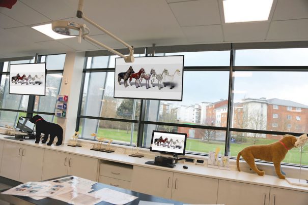 universidad-surrey-veterinaria-crestron