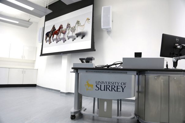 universidad-surrey-veterinaria-crestron