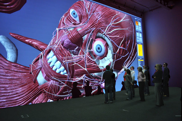 Digital Projection en SimVis