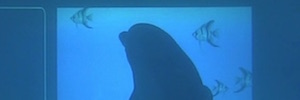 Underwater touch screen for dolphins to interact and investigate their behavior