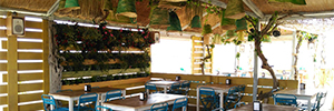 Le bar de plage Bahía Limón Chiringochill sonne ses soirées au bord de la mer avec Genelec