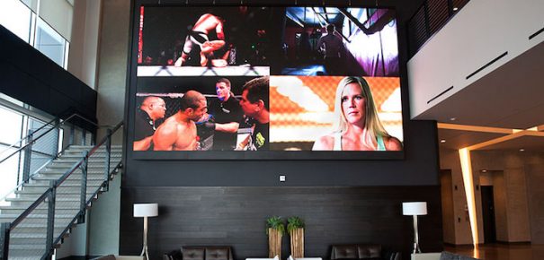 UFC Nanolumens National Technology Associates