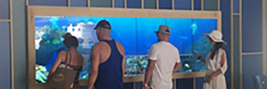 Отель La Pinta устанавливает виртуальный аквариум, который позволяет гостям взаимодействовать с морскими видами