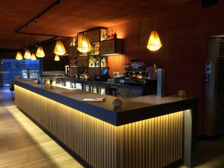 Apart en Bodega Pago de Carraovejas