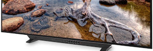 OLED 技术, 佛兰德科学XM650U显示器上的4K和特别提款权显示屏