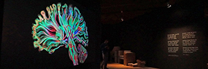 Лазерная проекция Кристи сопровождает путешествие в человеческий мозг