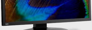 NEC offre una grande precisione del colore e una risoluzione 4K nel suo nuovo monitor per l'editing grafico