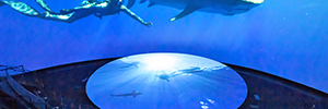 太平洋水族馆提供佳士得RGB激光技术的"电影内容"