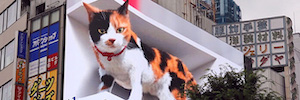 Cross Space revoluciona Tóquio com um enorme gato 3D em sua exibição comercial DOOH