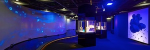 I pannelli OLED LG animano la mostra 'Bulgari Colors'’ a Seul